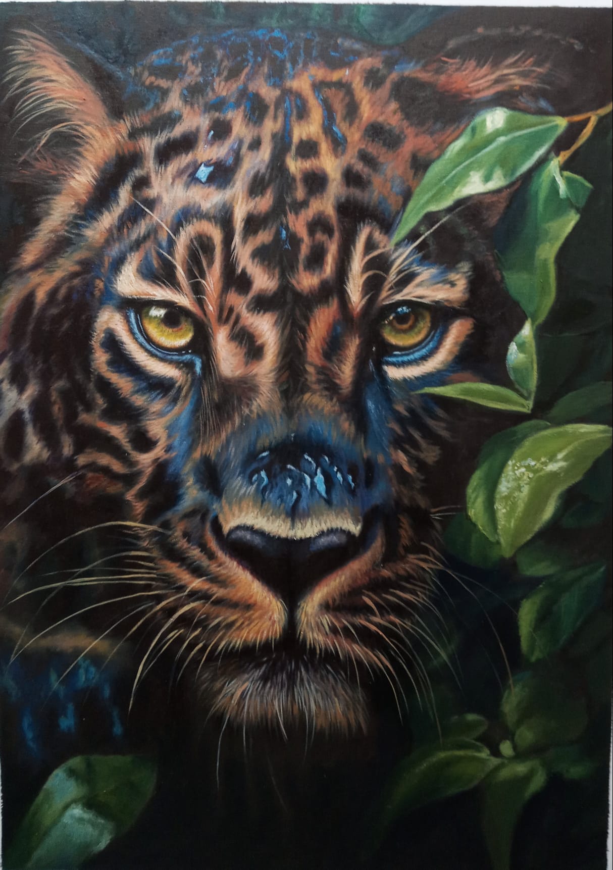 Mirada profunda